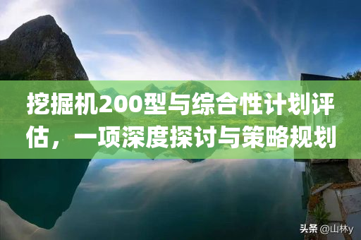 挖掘机200型与综合性计划评估，一项深度探讨与策略规划