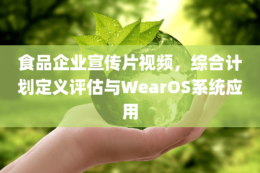 食品企业宣传片视频，综合计划定义评估与WearOS系统应用