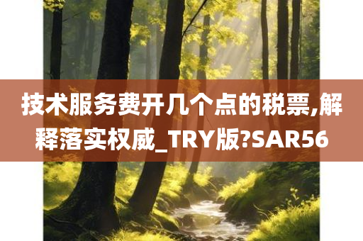 技术服务费开几个点的税票,解释落实权威_TRY版?SAR56