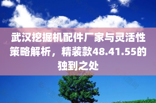 武汉挖掘机配件厂家与灵活性策略解析，精装款48.41.55的独到之处