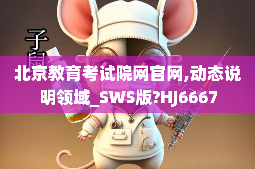 北京教育考试院网官网,动态说明领域_SWS版?HJ6667