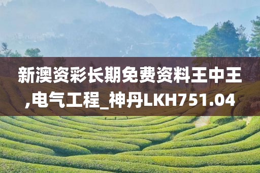 新澳资彩长期免费资料王中王,电气工程_神丹LKH751.04