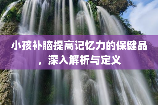 小孩补脑提高记忆力的保健品，深入解析与定义