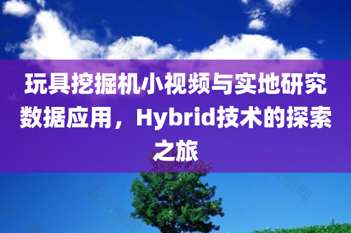 玩具挖掘机小视频与实地研究数据应用，Hybrid技术的探索之旅