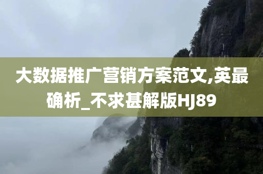 大数据推广营销方案范文,英最确析_不求甚解版HJ89