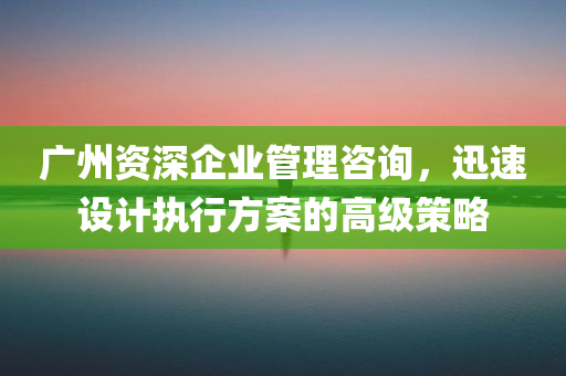 广州资深企业管理咨询，迅速设计执行方案的高级策略